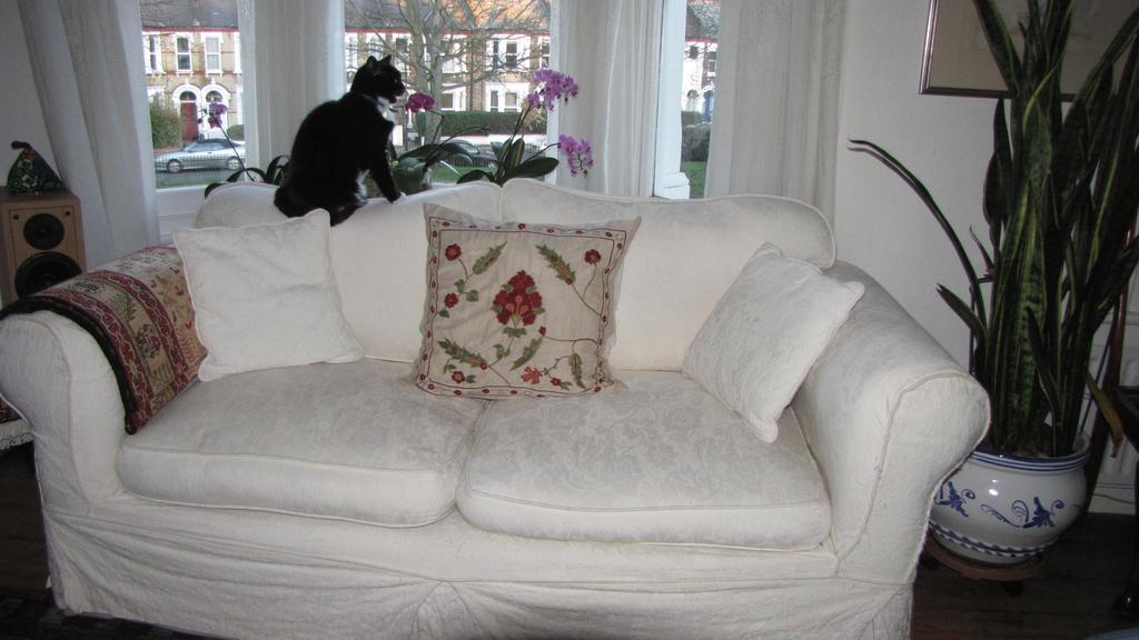 Holmewood Homestay London Luaran gambar
